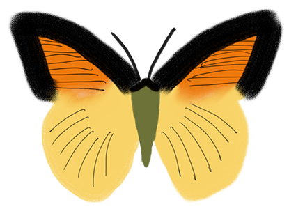 Colorful Butterflies messages sticker-3