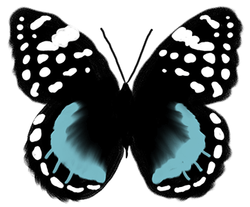 Colorful Butterflies messages sticker-11