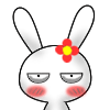 Fun Animate Rabb Stickers messages sticker-0