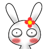 Fun Animate Rabb Stickers messages sticker-7