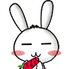 Fun Animate Rabb Stickers messages sticker-3