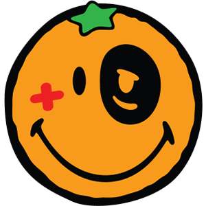 Smiley Orange Pack messages sticker-6