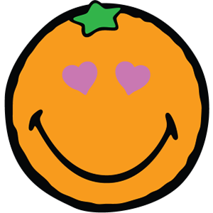 Smiley Orange Pack messages sticker-9