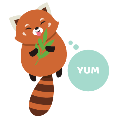 Red Panda Sticker Pack messages sticker-2