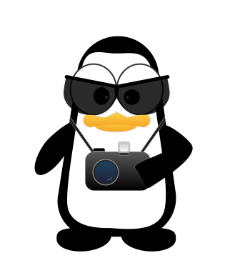 Crazy Pinguins - US Edition messages sticker-4
