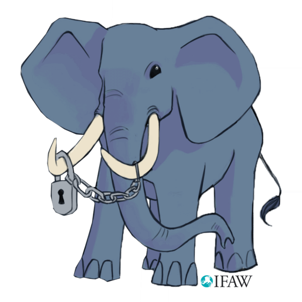 IFAWmojis messages sticker-0