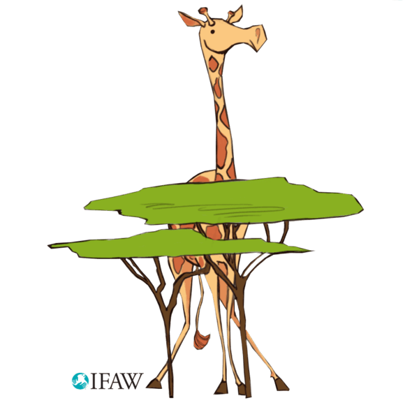 IFAWmojis messages sticker-1
