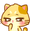 Fun Animation Cat Stickers messages sticker-10
