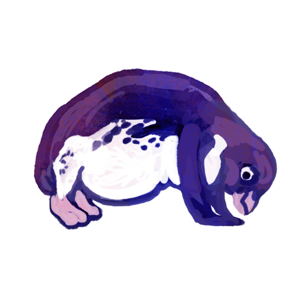 PenguinArt Pack messages sticker-4