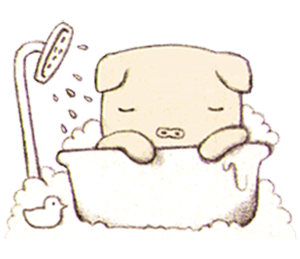 Little Bear - Stickers Pack! messages sticker-10