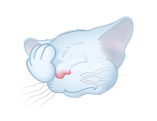 White Cat emoji messages sticker-6