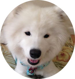 Lily Stickers messages sticker-7