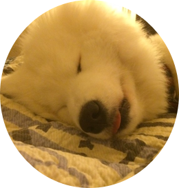 Lily Stickers messages sticker-3