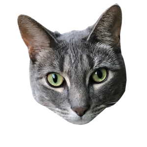 Pekoe and Kael messages sticker-9