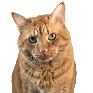 Pekoe and Kael messages sticker-4