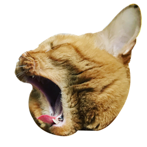Pekoe and Kael messages sticker-8