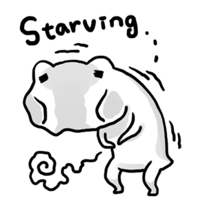 Daily Frog messages sticker-0