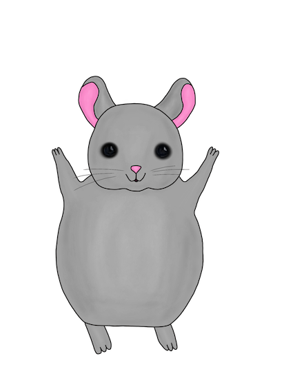 Little Chinchilla messages sticker-2