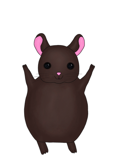 Little Chinchilla messages sticker-3
