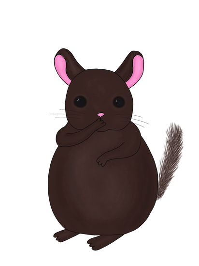Little Chinchilla messages sticker-5
