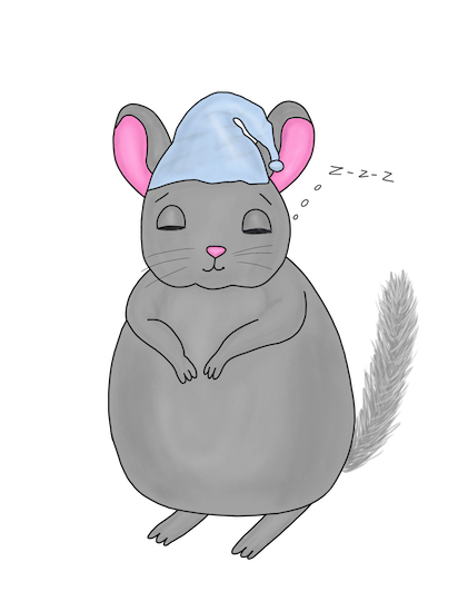 Little Chinchilla messages sticker-11