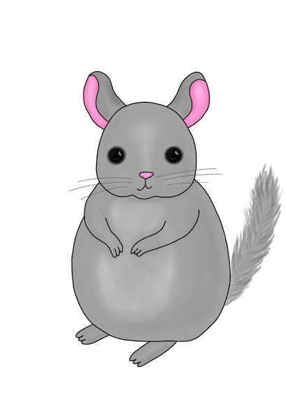 Little Chinchilla messages sticker-0