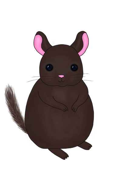 Little Chinchilla messages sticker-1