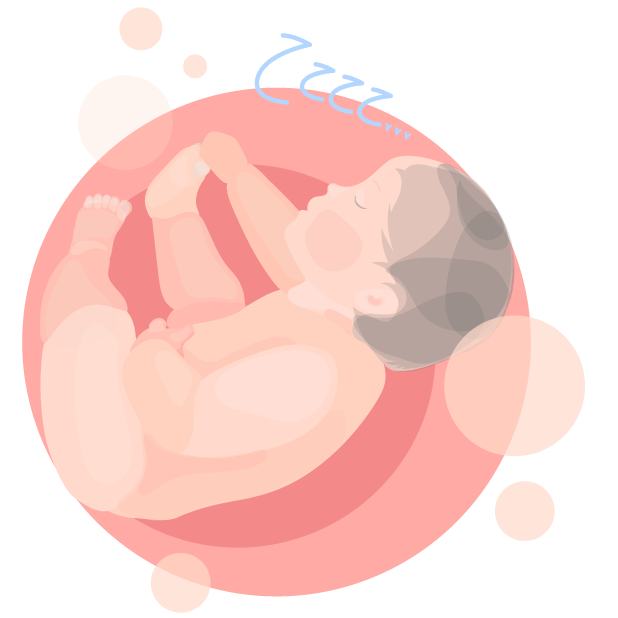 HiMommy - Pregnancy Tracker messages sticker-1