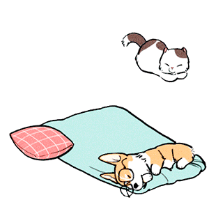 GGulbami's 6 animated stickers messages sticker-5