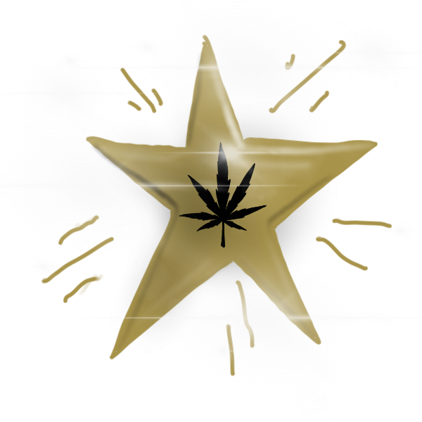 Hollyweed messages sticker-5