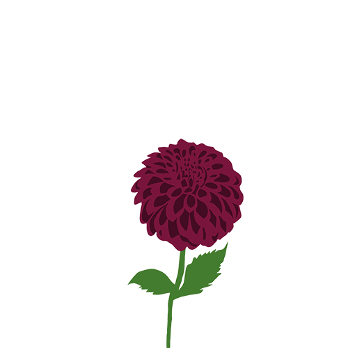 Sticky Flowers: Classic Set messages sticker-2