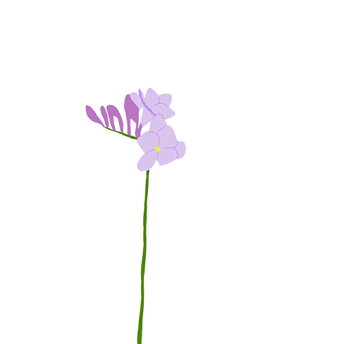 Sticky Flowers: Classic Set messages sticker-3