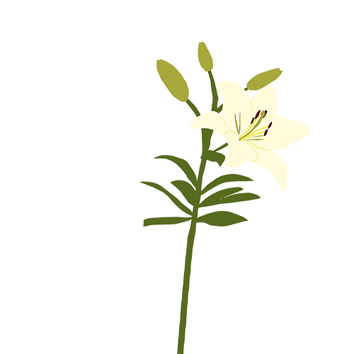 Sticky Flowers: Classic Set messages sticker-8