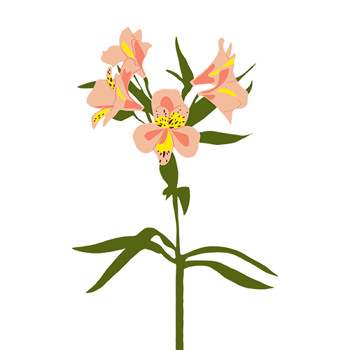 Sticky Flowers: Classic Set messages sticker-10