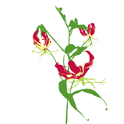 Sticky Flowers: Classic Set messages sticker-6