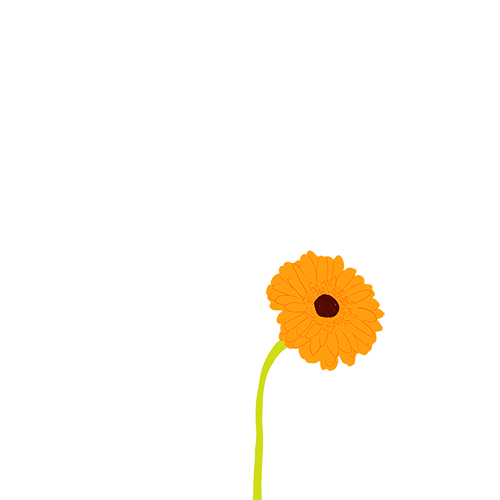 Sticky Flowers: Classic Set messages sticker-4