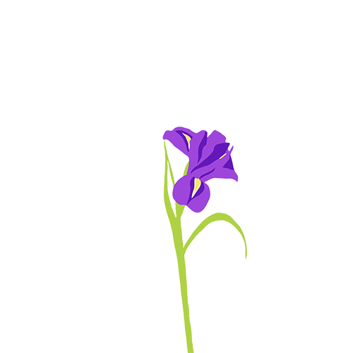 Sticky Flowers: Classic Set messages sticker-7