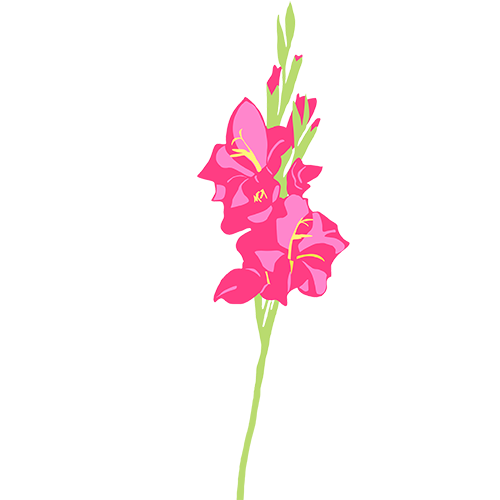 Sticky Flowers: Classic Set messages sticker-5