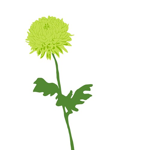 Sticky Flowers: Classic Set messages sticker-1