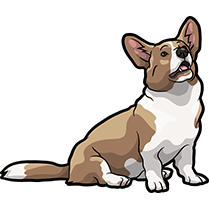 CorgiMojis - Corgi Emoji & Stickers messages sticker-8