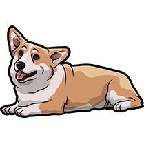 CorgiMojis - Corgi Emoji & Stickers messages sticker-7