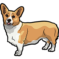 CorgiMojis - Corgi Emoji & Stickers messages sticker-4