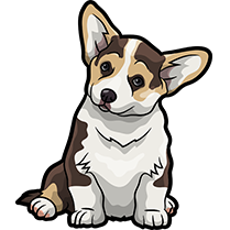 CorgiMojis - Corgi Emoji & Stickers messages sticker-5