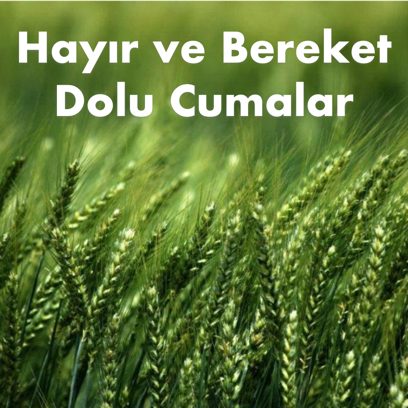 Cuma Mesajları - Kart Oluştur messages sticker-6