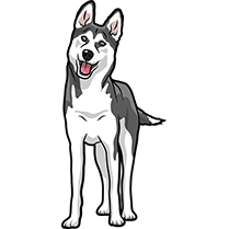 HuskyMoji - Husky Emoji & Sticker messages sticker-4