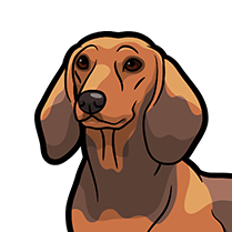 DachsMoji - Dachshund Emoji & Sticker messages sticker-10