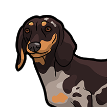 DachsMoji - Dachshund Emoji & Sticker messages sticker-9