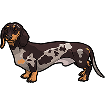 DachsMoji - Dachshund Emoji & Sticker messages sticker-6