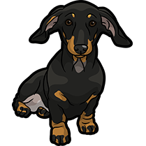 DachsMoji - Dachshund Emoji & Sticker messages sticker-0