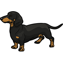 DachsMoji - Dachshund Emoji & Sticker messages sticker-8